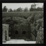 Böhl glass slide 62./2060